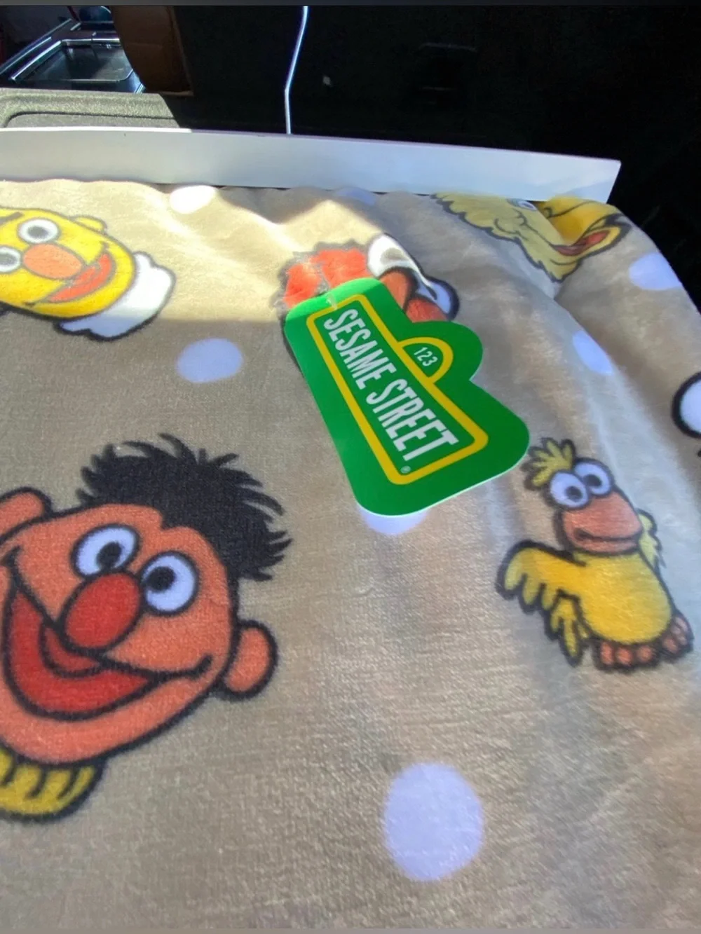 Sesame Street oversize plush throw - incredibly soft!  Brand new 60”